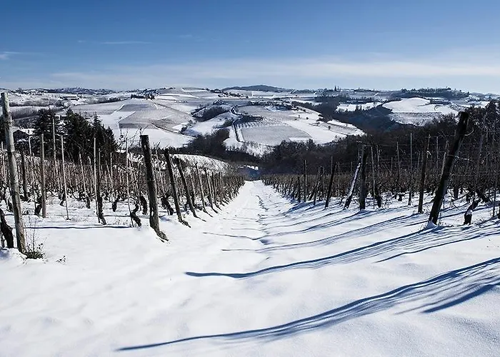 Vakantieboerderij Minaldo Dogliani